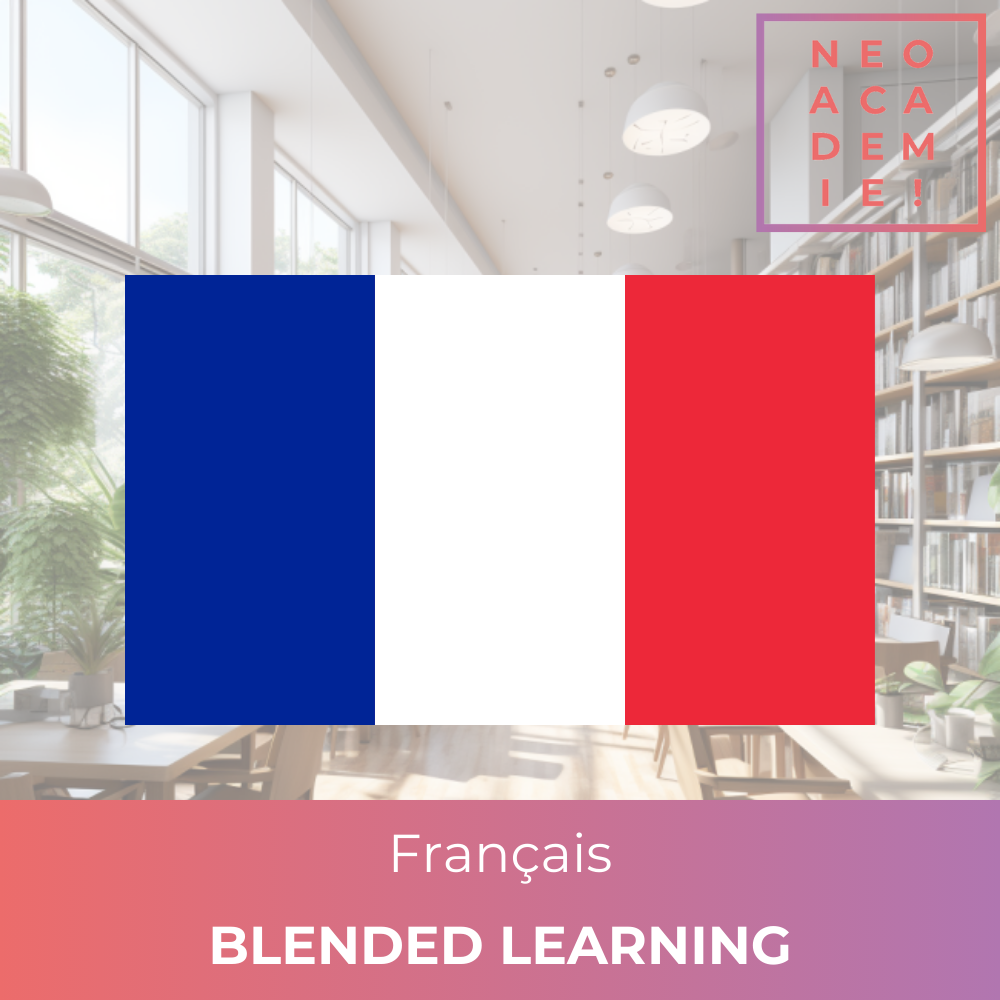 Français (Individuel) du Niveau A1 à B2 - [BLENDED LEARNING]