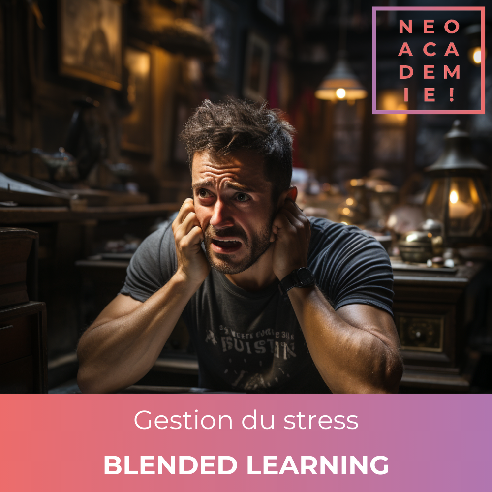 Gestion du Stress - [BLENDED LEARNING]