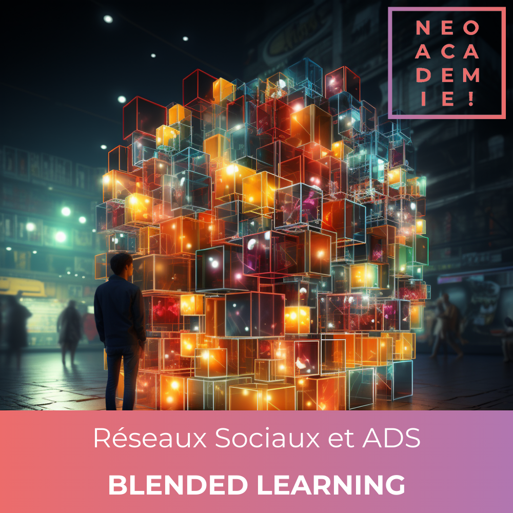 Réseaux Sociaux et ADS - [BLENDED LEARNING]