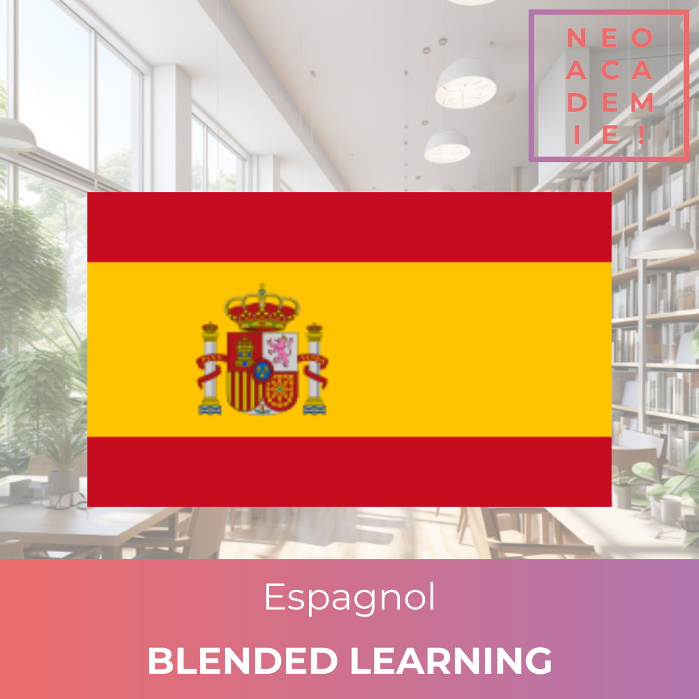 Espagnol (Individuel) du Niveau A1 à B2 - [BLENDED LEARNING] 