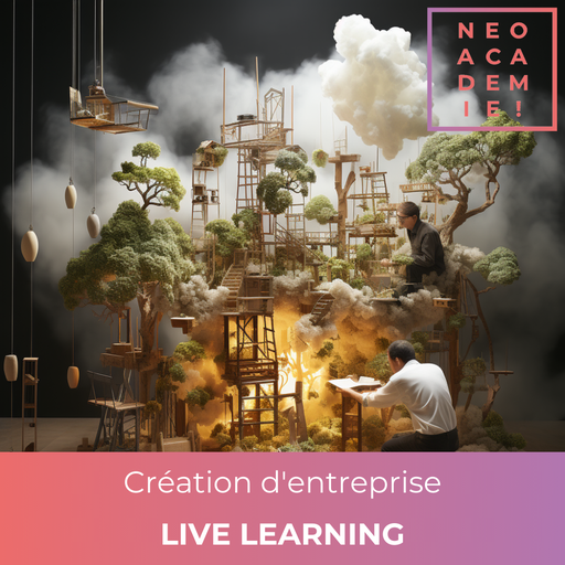 Création d'entreprise - [LIVE LEARNING] - old