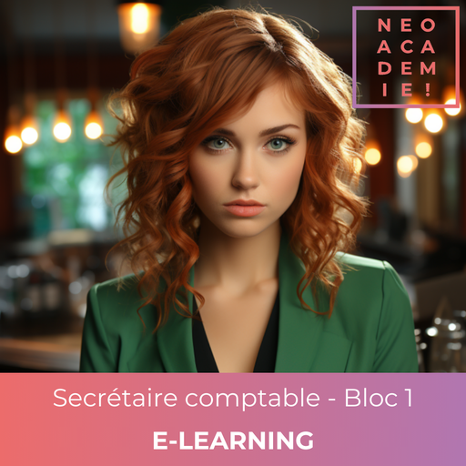 RNCP37123 - TP - Niveau 4 - Secrétaire comptable - Bloc 1 (Options Gestion administrative) - [E-LEARNING]