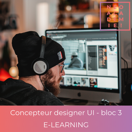 RNCP35634 - TP - Niveau 6 - Concepteur designer UI - Bloc 3  (Options HTML, CSS, Javascript, CMS Wordpress Woocommerce et SEO) - [E-LEARNING]