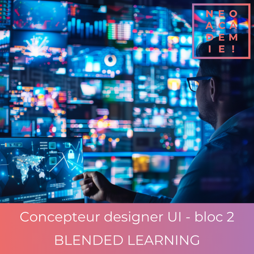 RNCP35634 - TP - Niveau 6 - Concepteur designer UI - Bloc 2 (Options Communication numérique et Growth hacking) - [BLENDED LEARNING]