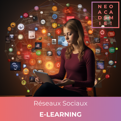 Introduction aux Réseaux sociaux - [E-LEARNING]