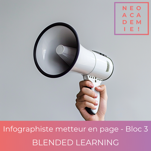 RNCP37943 - TP - Niveau 4 - Infographiste metteur en page - Bloc 3 (Option Stratégies Webmarketing et CMS Wordpress) - [BLENDED LEARNING]